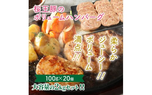 譯懃視雎壹ョ繝懊Μ繝・繝シ繝繝上Φ繝舌シ繧ー2kg繧サ繝繝_1486R