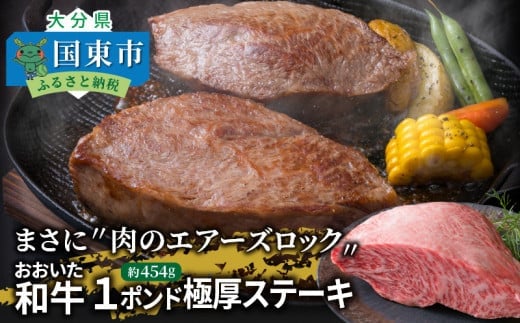 【A4〜A5等級】まさに〃肉のエアーズロック〃おおいた和牛１ポンド極厚ステーキ・通_29365A
