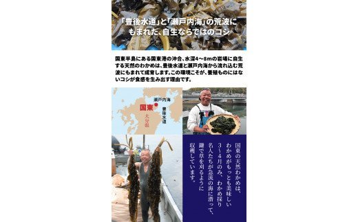 蝗ス譚ア蜊雁ウカ縺ョ螟ゥ辟カ縺雁絢霄ォ繧上°繧シ2.5kgシ雲102Z