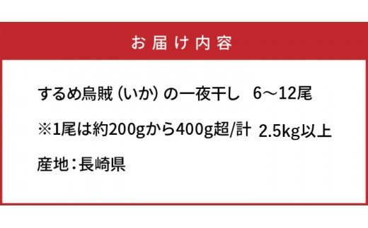 サイズは不揃いでも味は絶品!肉厚するめ烏賊一夜干し2.4kg_1904R