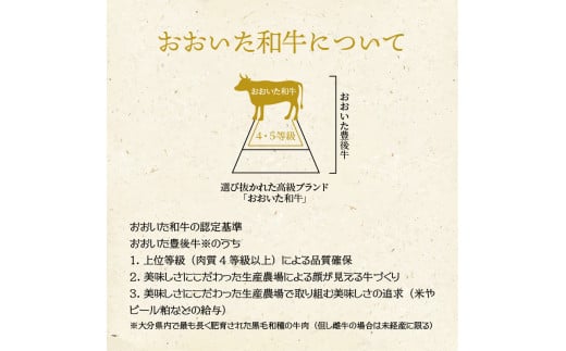 ãA4ãA5ççŽãç·èš2.5kg!ããããåçã»ãå³éžãèã®åèœã3çš®ã»ãã_1476R