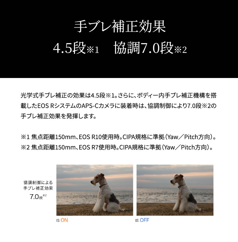 【Canon】 キヤノン ミラーレス カメラ EOS R10 レンズキット 18-45ｍｍ キャノン 一眼 家電_0024C