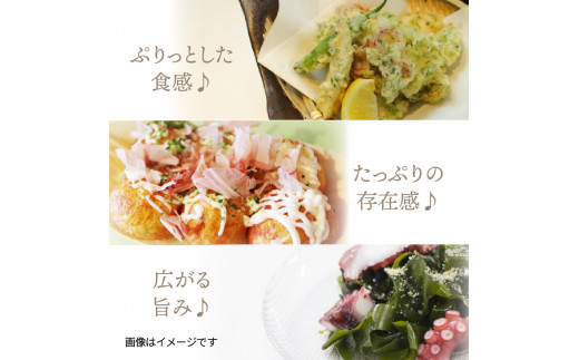 蝗ス譚ア蜊雁ウカ縺ョ螟ゥ辟カ蝨ー縺縺750g 繝懊う繝ォ 縺カ縺、蛻繧 蝗ス逕」 繝懊う繝ォ 繧ソ繧ウ 逵溯嶌 蟆丞縺 萓ソ蛻ゥ 菴ソ縺蜍晄焔 鬟溘∋繧縺吶> 繝代せ繧ソ 繝斐じ 縺溘%辟シ縺 驟「縺ョ迚ゥ 繧オ繝ゥ繝 蜚先恕縺胆0013N-1