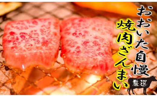 おおいた独り焼肉セット計700g/豊後牛中落ちカルビ,ホルモンほか