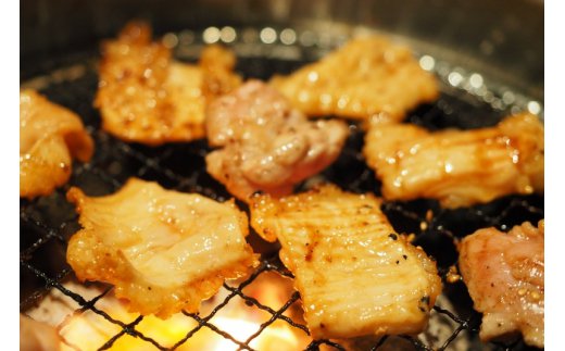 おおいた独り焼肉セット計700g/豊後牛中落ちカルビ,ホルモンほか