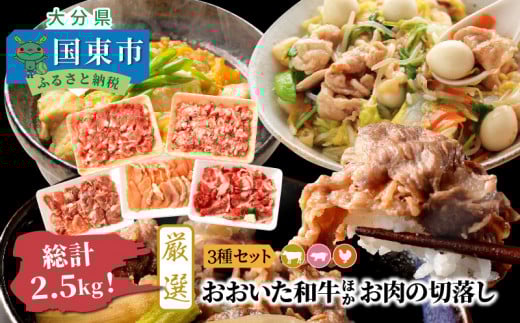 【A4〜A5等級】総計2.5kg!おおいた和牛ほか厳選お肉の切落し3種セット_1476R