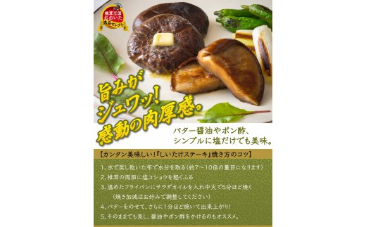 まさに森のアワビ！ステーキ用肉厚乾し椎茸/こうこ240g