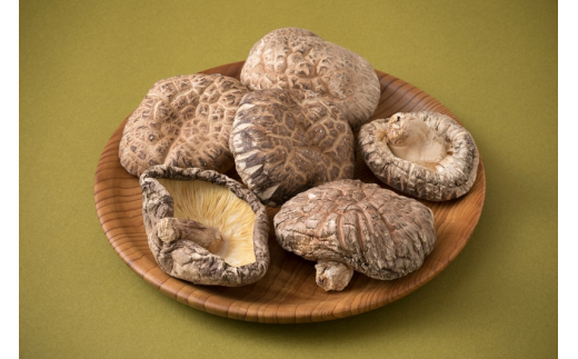 まさに森のアワビ！ステーキ用肉厚乾し椎茸/こうこ240g