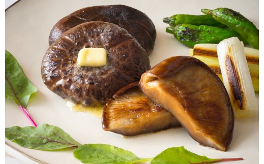 まさに森のアワビ！ステーキ用肉厚乾し椎茸/こうこ240g