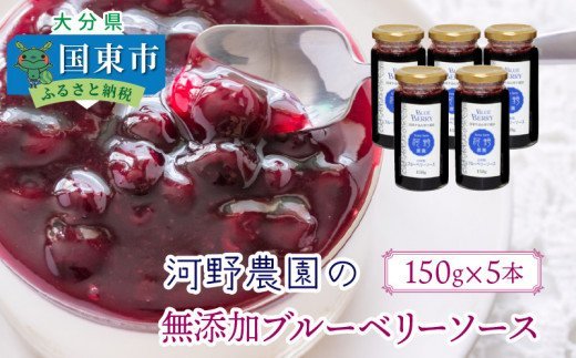 河野農園の無添加ブルーベリーソース150g×5本