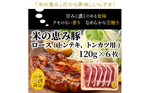 ããããåçãšç±³ã®æµã¿è±ã®ã¹ããŒã察決/èš1.12kg