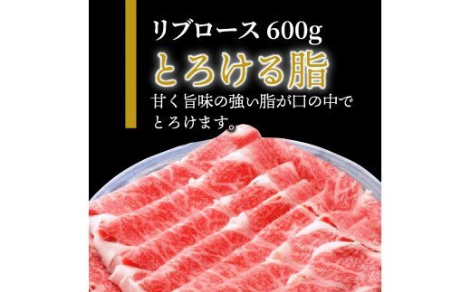 おおいた和牛リブローススライス600g