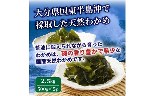 蝗ス譚ア蜊雁ウカ縺ョ螟ゥ辟カ縺雁絢霄ォ繧上°繧シ2.5kgシ雲102Z