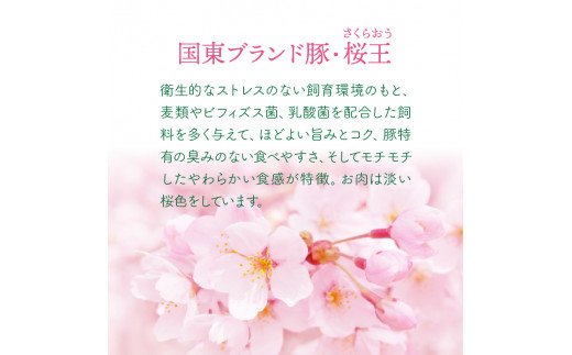 縺上↓縺輔″譯懃視繝√Ε繝シ繧キ繝・繝シ0.9kg_1062R