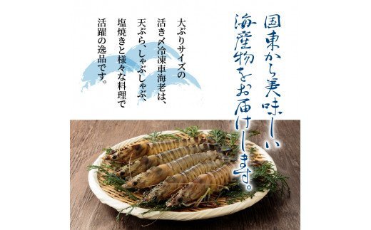 魄ョ蠎ヲ謚懃セ、シ∵エサ縺阪蜀キ蜃崎サ頑オキ閠シ750gシ雲29017B