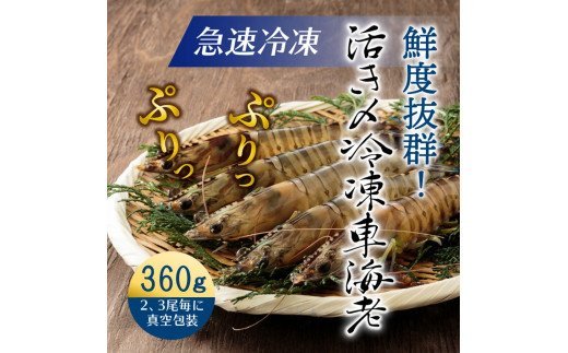 魄ョ蠎ヲ謚懃セ、シ∵エサ縺阪蜀キ蜃崎サ頑オキ閠シ360gシ雲29100A