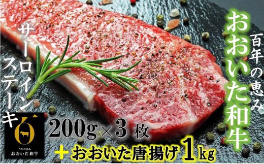おおいた和牛サーロイン200g×3+鶏唐揚げ1kg