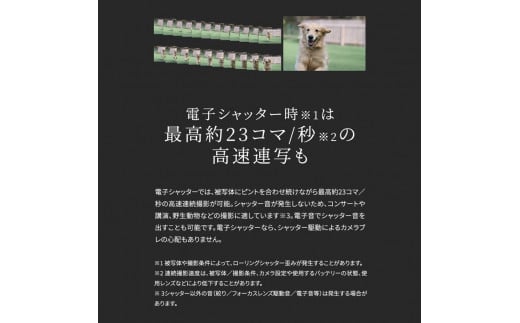 【Canon】 キヤノン ミラーレスカメラ EOS R10 レンズキット 18-150ｍｍ キャノン 一眼 家電_0018C