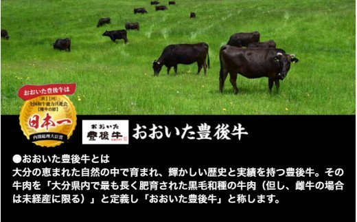 小分けで便利な4パック!豊後牛切り落し計800g