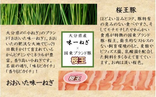 大分県産味一ねぎ×国東市ブランド桜王豚のねぎしゃぶセット