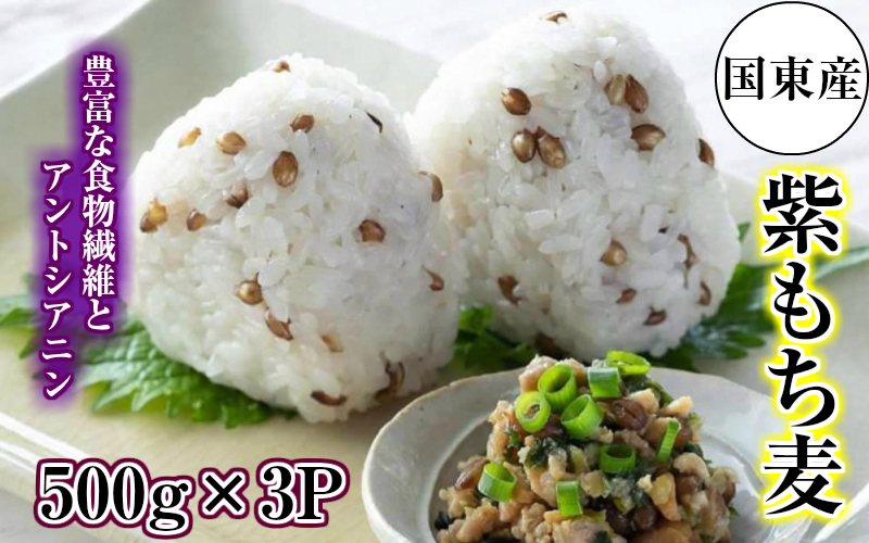 くにさき紫もち麦1.5kg