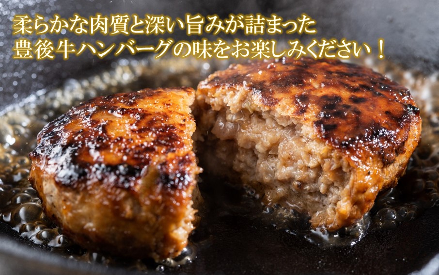 縲宣サ呈ッ帛柱迚帙題ア雁セ檎央繝上Φ繝舌シ繧ー險1.02kg(170gテ6蛟)_2378R