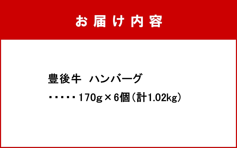 縲宣サ呈ッ帛柱迚帙題ア雁セ檎央繝上Φ繝舌シ繧ー險1.02kg(170gテ6蛟)_2378R