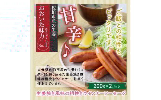 大満足2.28kg!おおいた味力ソーセージセット_1307R