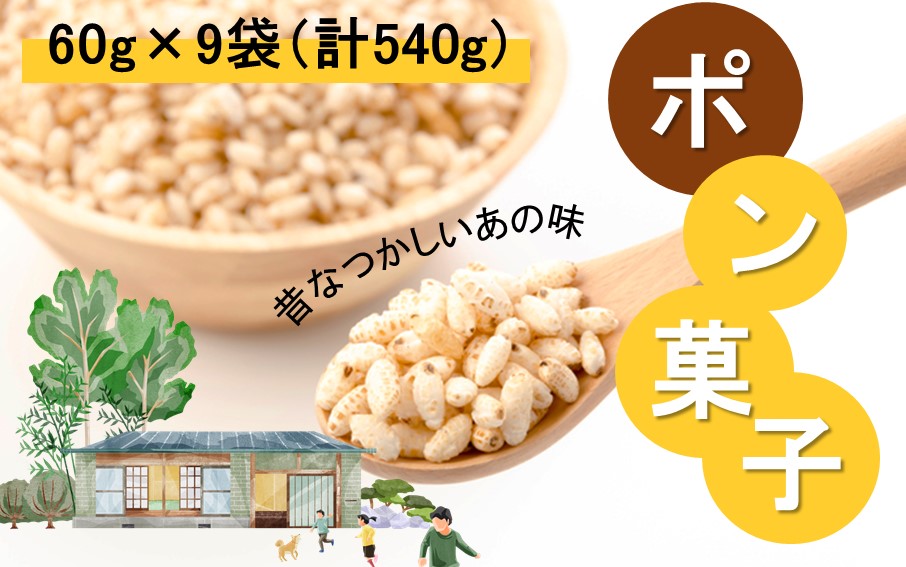 昔なつかしのポン菓子 60g×9袋 計540g_2384R