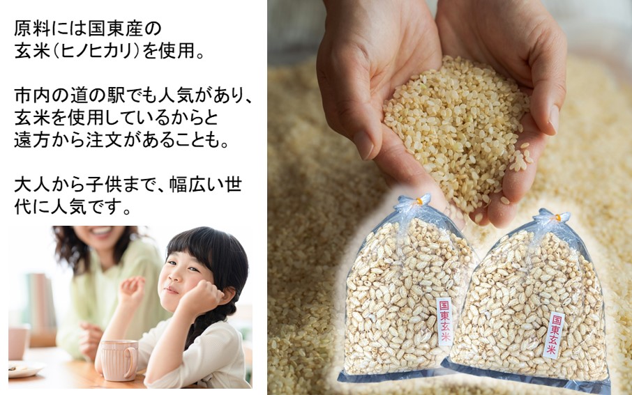 昔なつかしのポン菓子 60g×9袋 計540g_2384R