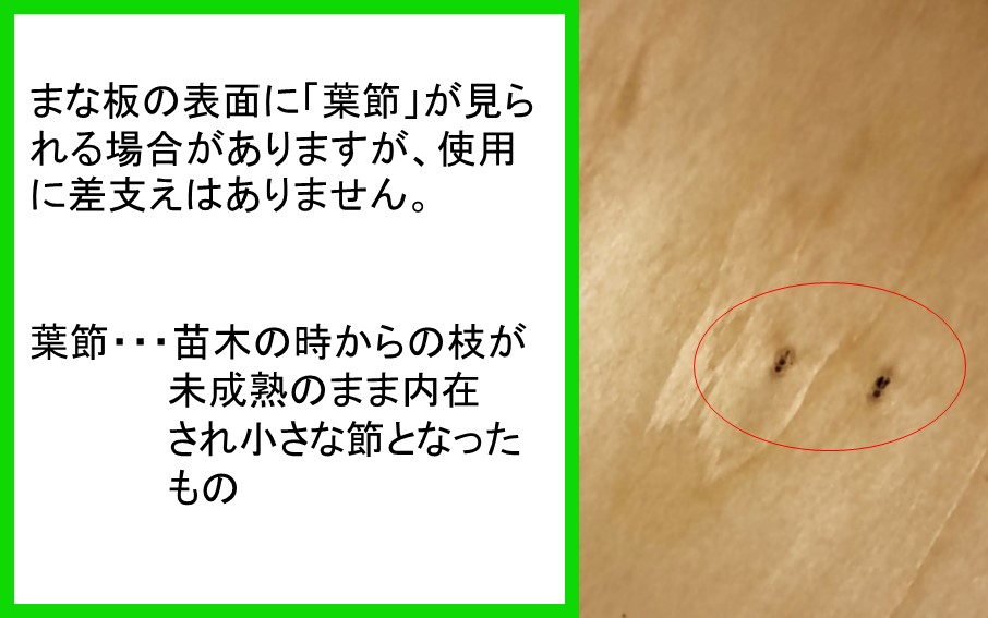 銀杏のまな板（並級）37×22×2.8cm/耐水加工済_1245R