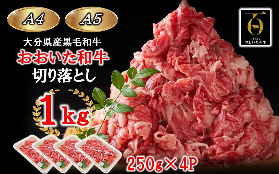 【A4〜A5等級】小分けで便利！ おおいた和牛 切り落とし 1kg (250g×4P)_2436R