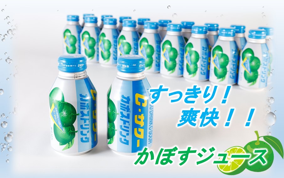 繧ォ繝懊せ繝峨Μ繝ウ繧ッ C繧オ繝ッ繝シ 280gテ24譛ャ (1繧ア繝シ繧ケ)_2441R