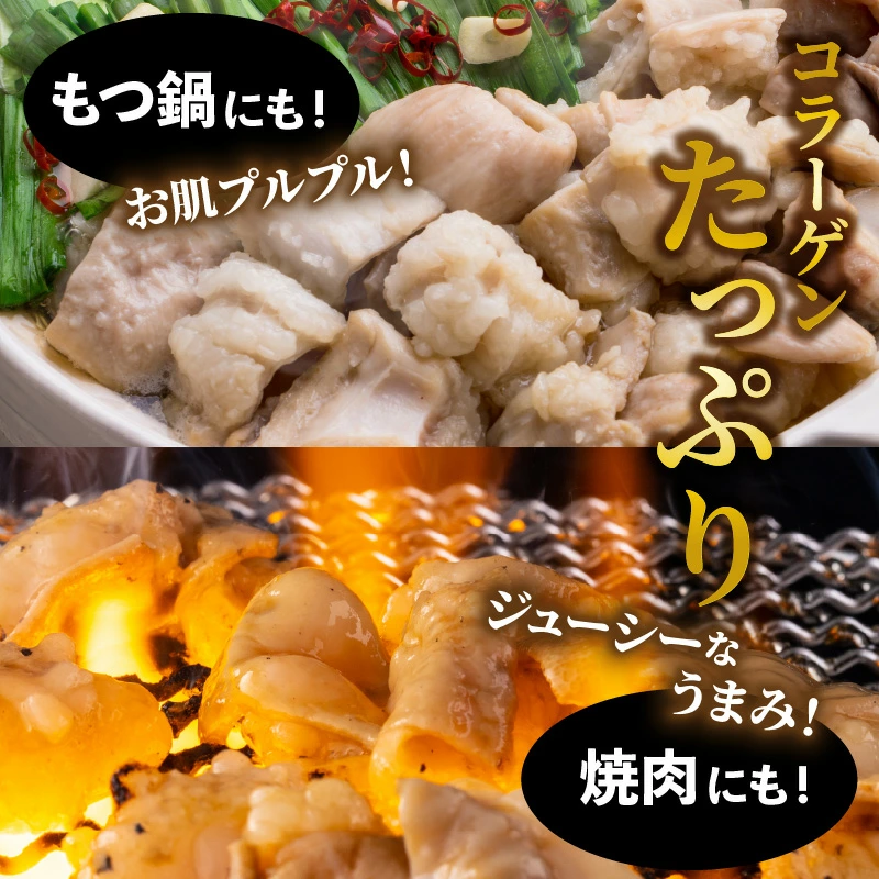 たっぷり1.5kg！大分県産牛ホルモン/ もつ鍋 / 焼肉用_1454R