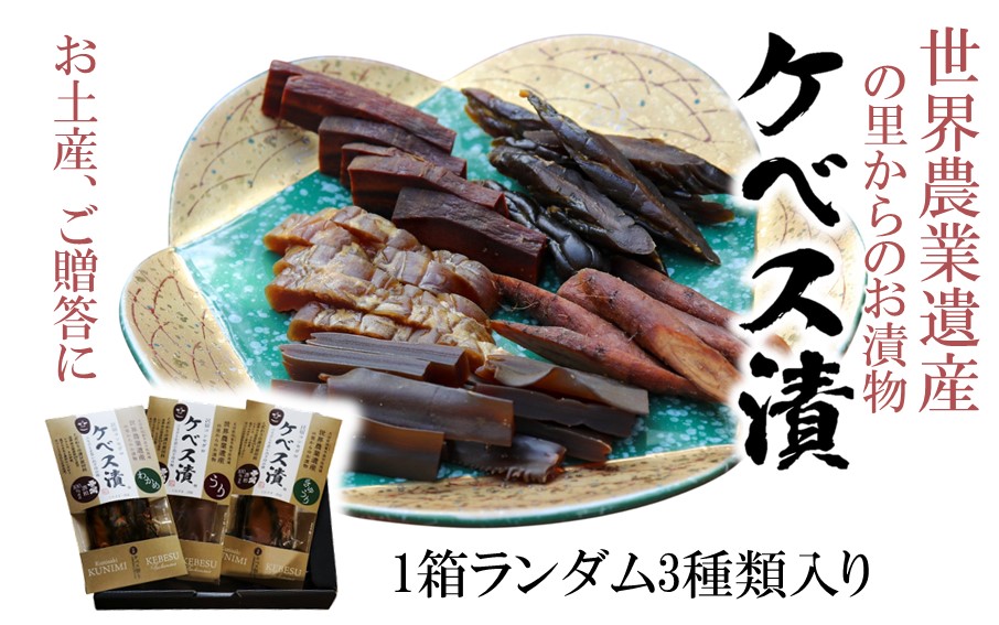 【10月から発送予定】西の関の酒粕で作ったこだわりの奈良漬け「季節のケベス漬け」1箱ランダム3種セット（計510g）_2106R