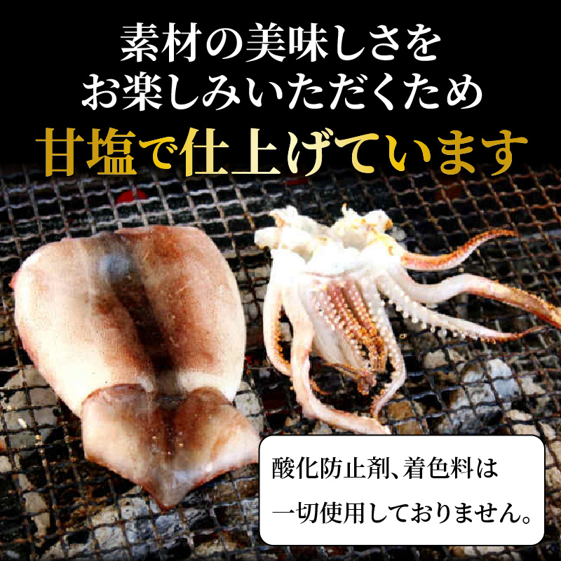 サイズは不揃いでも味は絶品!肉厚するめ烏賊一夜干し2.4kg_1904R