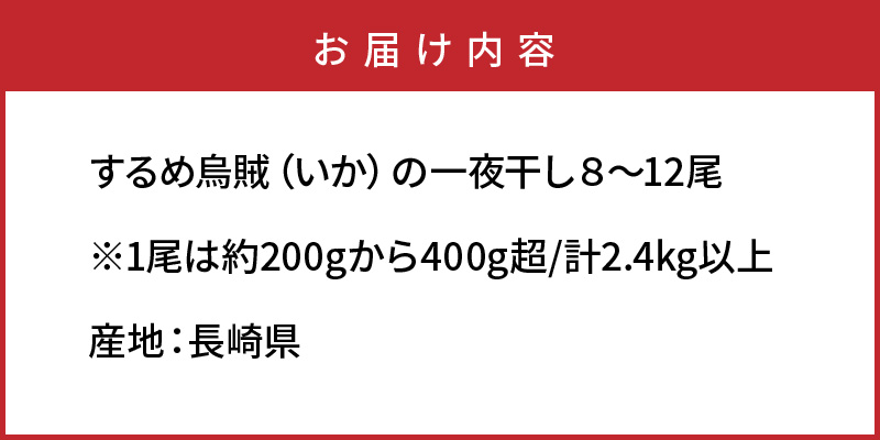 サイズは不揃いでも味は絶品!肉厚するめ烏賊一夜干し2.4kg_1904R