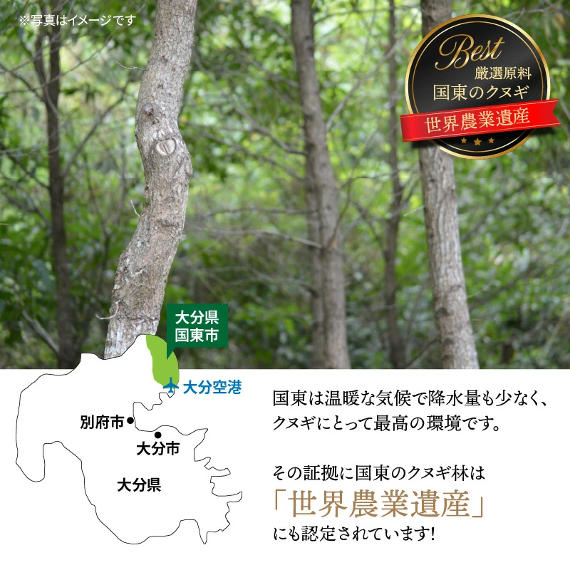 煙がなく匂わない！ こだわり炭職人の国東木炭 10kg（5kg×2箱） 少煙 匂いなし アウトドア バーベキュー 焼肉 野外 キャンプ 炭火_0510Z