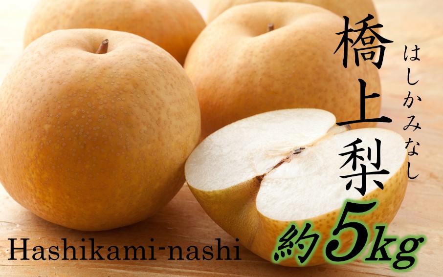【先行予約】令和8年発送 / 辰口農園の橋上梨約5kg（品種:あきづき）_2431R