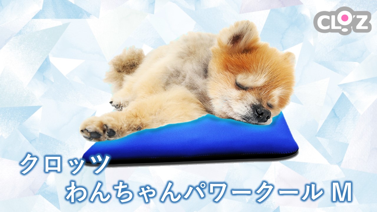 クロッツ わんちゃんパワークールM_2607R