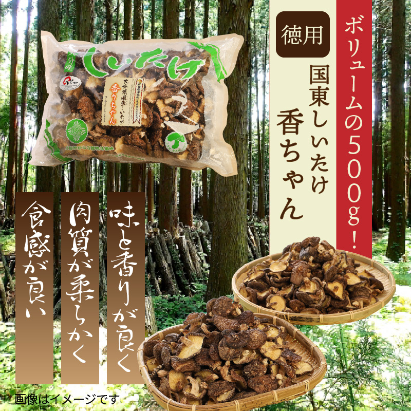 ボリュームの500g！国東しいたけ香ちゃん （徳用）_1735R