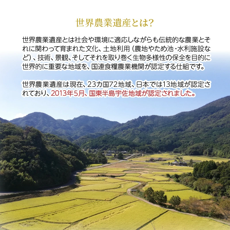 令和7年産新米 食味値80点以上/国東産「つや姫」5kg×1袋 _1673Ｒ-1