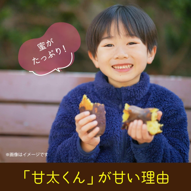 【先行予約】さつまいも 甘太くん 5kg 大分県産 M〜2L _2291R