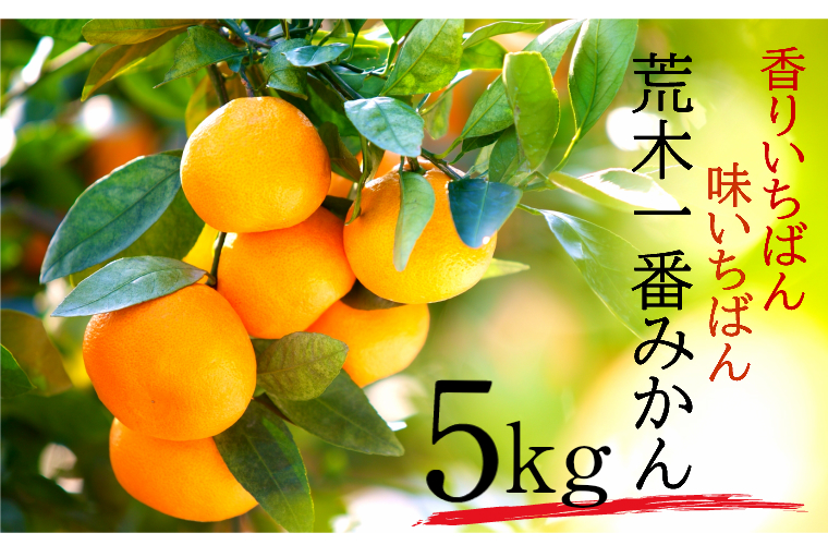 【先行予約・年内配送】令和7年12月中出荷/荒木一番みかん約5kg _1271R-1