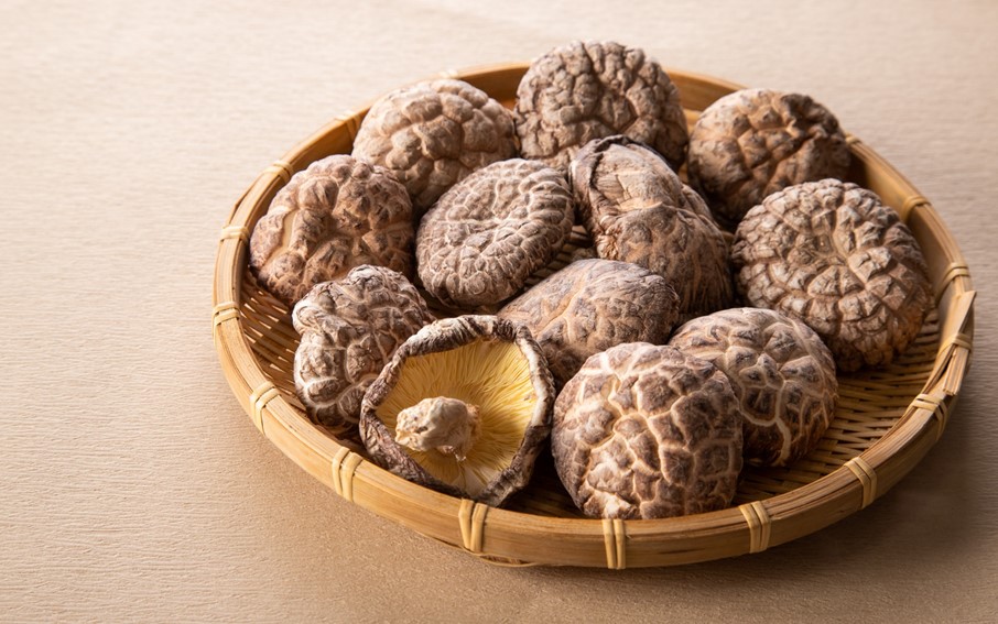 縲占ィウ縺ゅj縲大嵜譚ア逕」荳肴純縺縺励>縺溘¢邏400gシ医←繧薙%シ雲2634R-1