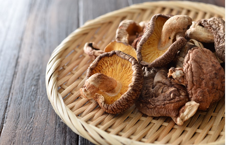 【訳あり】国東産不揃いしいたけ約500g（香信）_2633R-2