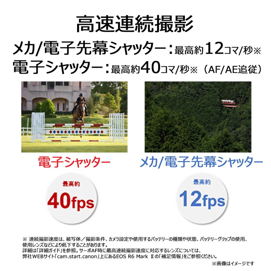 【追加レンズセット】 キヤノン ミラーレス カメラ EOS R6 MarkⅡ レンズキット & 望遠レンズ キャノン 一眼 家電 _0055C