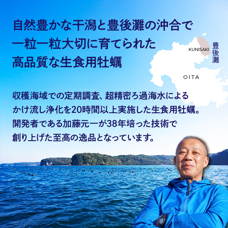 牡蠣 生食用 殻付き くにさきオイスター 大きいサイズ8個（殻付き重量110～200g/個） カキ oyster 生牡蠣_2360R