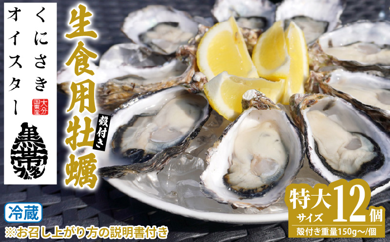 牡蠣 生食用 殻付き くにさきオイスター 特大サイズ12個（殻付き重量150g～/個）　カキ oyster 生牡蠣_2361R-1