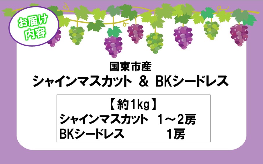 テレビで紹介されました！【先行予約】【令和8年発送】農家直送！ 新鮮！ 朝づみぶどう シャインマスカット & BKシードレス 種なし 約1kg フルーツ 果物 贈答 大分県産 採れたて_2658R-1